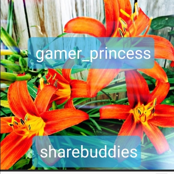 Im participant❤️ ❤️❤️share buddies ❤️❤️❤️ - Picture 4 of 5